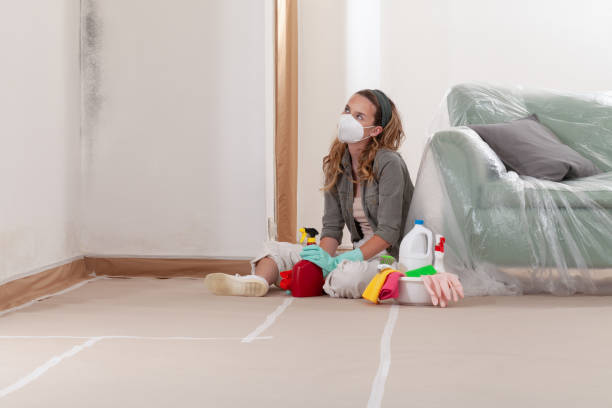 Reliable Mold Remediation contractor in New York, NY by WQB Mold Removal